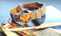 Pulsera 